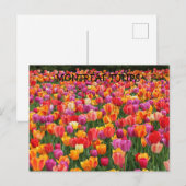 MONTREAL TULPEN BRIEFKAART (Voorkant / Achterkant)