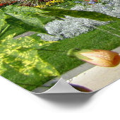 Montreux Poster (Hoek)