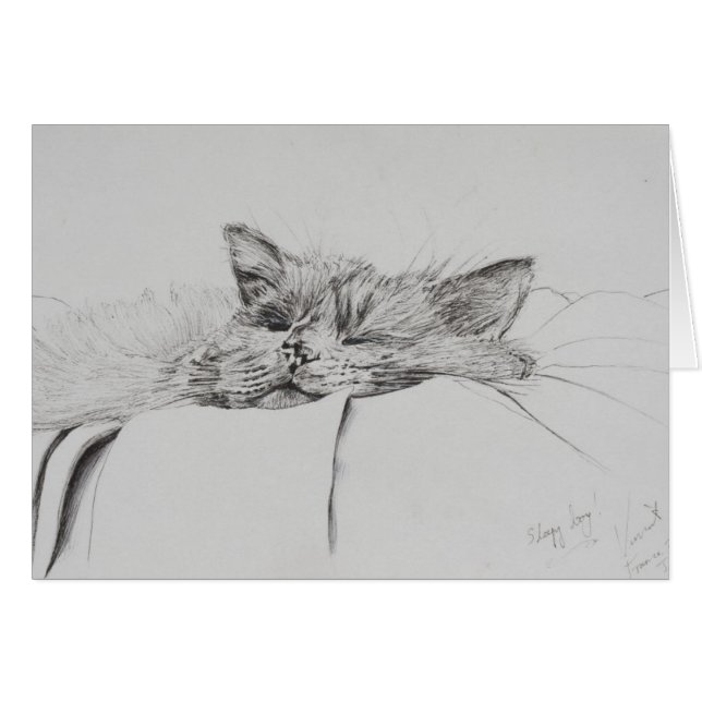 Monty slapy boy (Voorkant Horizontaal)