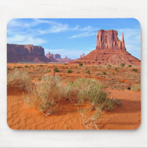Monument Valley Arizona Muismat