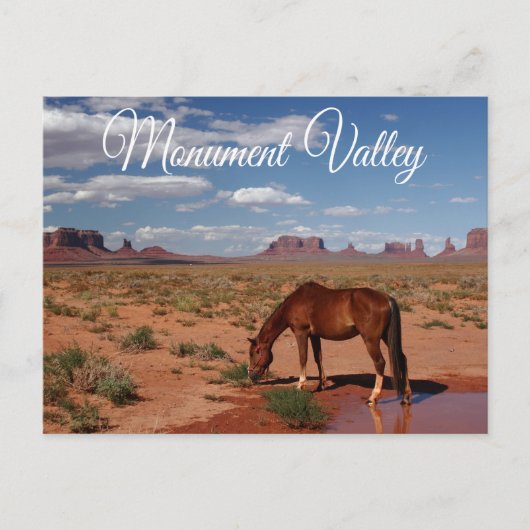 Monument Valley Navajo Tribal Park Utah USA Briefkaart (Voorkant)