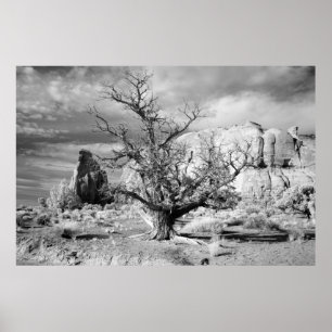 Monument Valley Poster