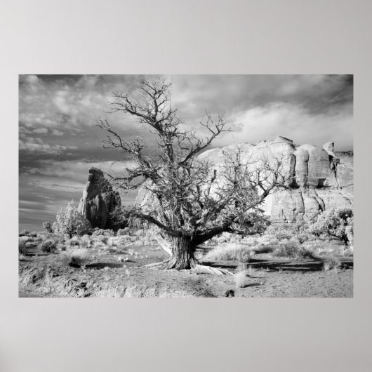 Monument Valley Poster (Voorkant)