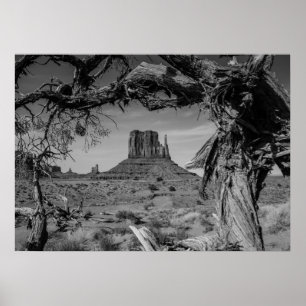 Monument Valley Poster