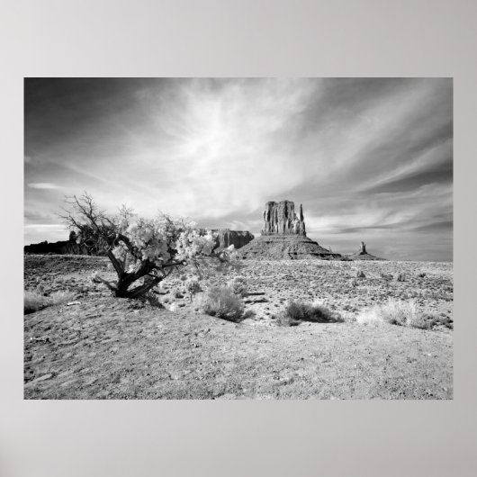 Monument Valley Poster (Voorkant)