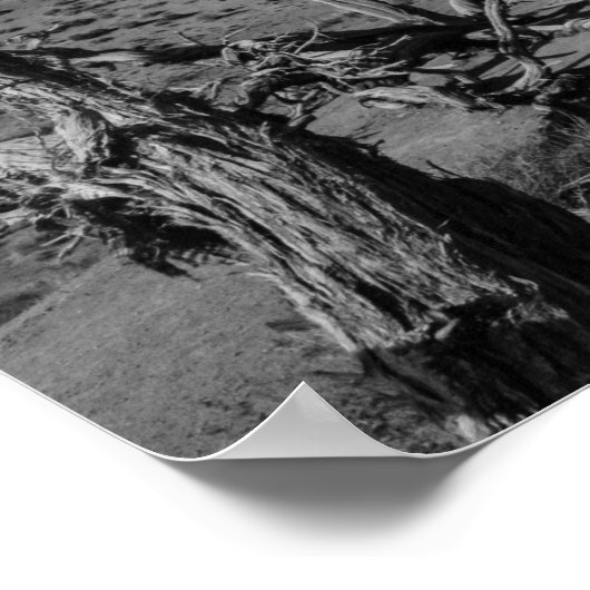 Monument Valley Zwart-wit Poster (Hoek)