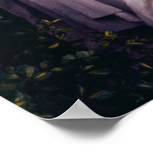 Monument voor Frederic Chopin Poster (Hoek)