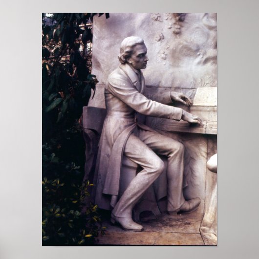 Monument voor Frederic Chopin Poster (Voorkant)