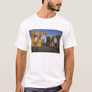 Monumentale Arch, Palmyra, Homs, Syrië T-shirt
