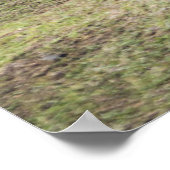 Monumenten | Easter Island, Chile Poster (Hoek)