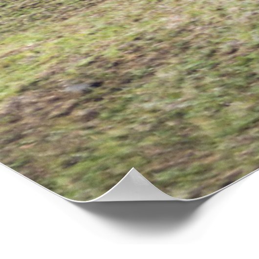 Monumenten | Easter Island, Chile Poster (Hoek)