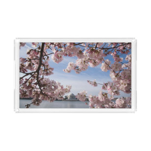 Monumenten   Jefferson Memorial Cherry Blossoms Acryl Dienblad