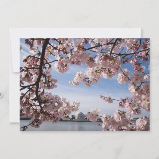 Monumenten | Jefferson Memorial Cherry Blossoms Bedankkaart (Voorkant)