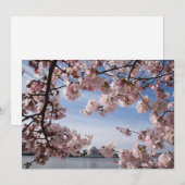 Monumenten | Jefferson Memorial Cherry Blossoms Bedankkaart (Voorkant / Achterkant)