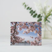 Monumenten | Jefferson Memorial Cherry Blossoms Briefkaart (Staand voorkant)