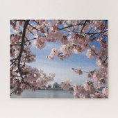 Monumenten | Jefferson Memorial Cherry Blossoms Legpuzzel (Horizontaal)