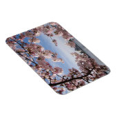 Monumenten | Jefferson Memorial Cherry Blossoms Magneet (Rechterzijde)