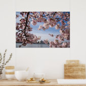 Monumenten | Jefferson Memorial Cherry Blossoms Poster (Keuken)