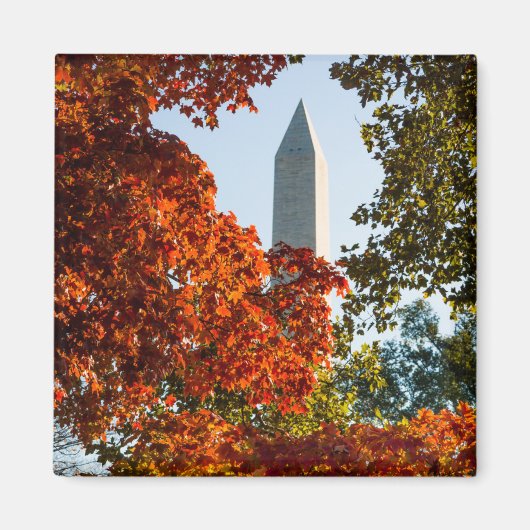 Monumenten | Monument in Washington in het najaar Magneet (Voorkant)