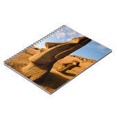 Monumenten | Paaseiland Notitieboek (Linkerzijde)