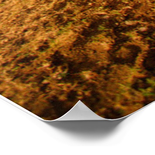 Monumenten | Paaseiland Poster (Hoek)