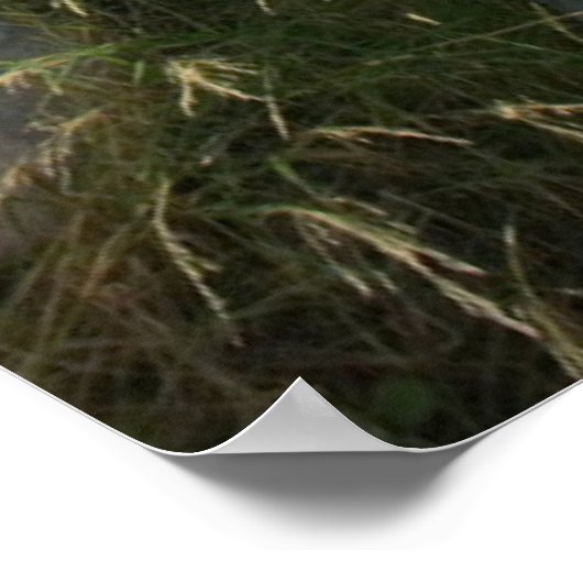 Monumenten Parthenon Athens, Greece Poster (Hoek)