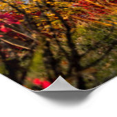 Monumenten | St. Basil's Cathedral Moscow Poster (Hoek)