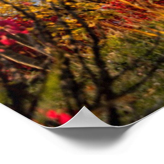 Monumenten | St. Basil's Cathedral Moscow Poster (Hoek)