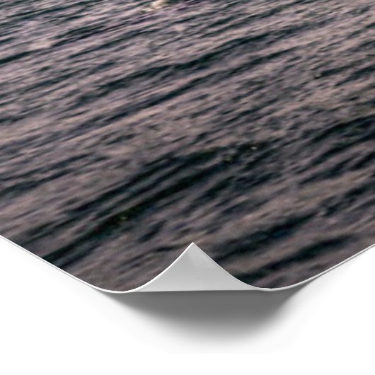 Monumenten Sydney Opera House Poster (Hoek)