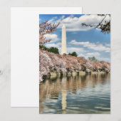 Monumenten | Washington Memorial Bedankkaart (Voorkant / Achterkant)