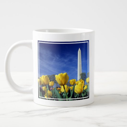 Monumenten | Washington Monument in de lente Grote Koffiekop (Links)