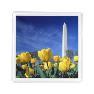 Monumenten   Washington Monument in Spring Acryl Dienblad