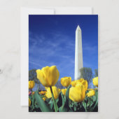 Monumenten | Washington Monument in Spring Bedankkaart (Voorkant)