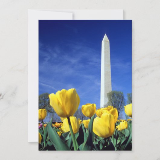 Monumenten | Washington Monument in Spring Bedankkaart (Voorkant)