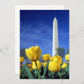 Monumenten | Washington Monument in Spring Bedankkaart (Voorkant / Achterkant)
