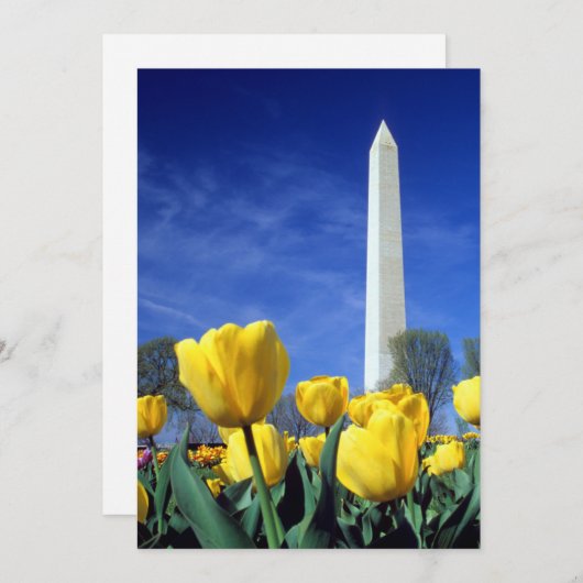 Monumenten | Washington Monument in Spring Bedankkaart (Voorkant / Achterkant)