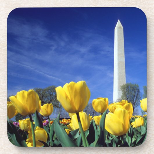Monumenten | Washington Monument in Spring Bier Onderzetter (Voorkant)