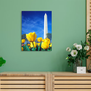 Monumenten   Washington Monument in Spring Canvas Afdruk