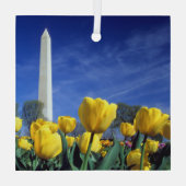 Monumenten | Washington Monument in Spring Glas Ornament (Achterkant)