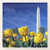 Monumenten | Washington Monument in Spring Glazen Onderzetter (Voorkant)