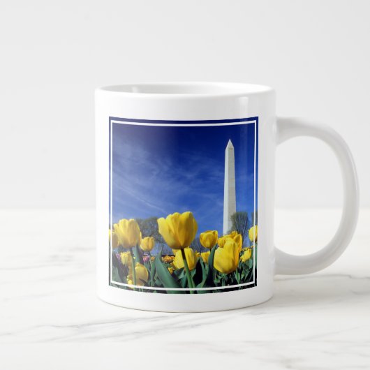 Monumenten | Washington Monument in Spring Grote Koffiekop (Rechts)