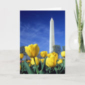 Monumenten | Washington Monument in Spring Kaart (Voorkant)