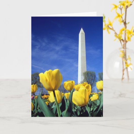 Monumenten | Washington Monument in Spring Kaart (Gele Bloem)