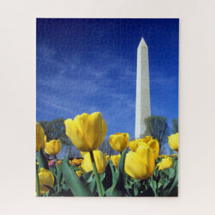Monumenten   Washington Monument in Spring Legpuzzel