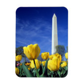 Monumenten | Washington Monument in Spring Magneet (Verticaal)