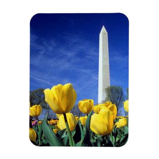 Monumenten | Washington Monument in Spring Magneet (Verticaal)