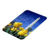 Monumenten | Washington Monument in Spring Magneet (Linkerzijde)