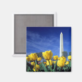 Monumenten | Washington Monument in Spring Magneet (Voorkant / Achterkant)
