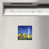 Monumenten | Washington Monument in Spring Magneet (Insitu (Vaatwasser))
