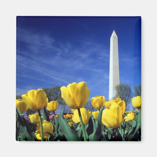 Monumenten | Washington Monument in Spring Magneet (Voorkant)